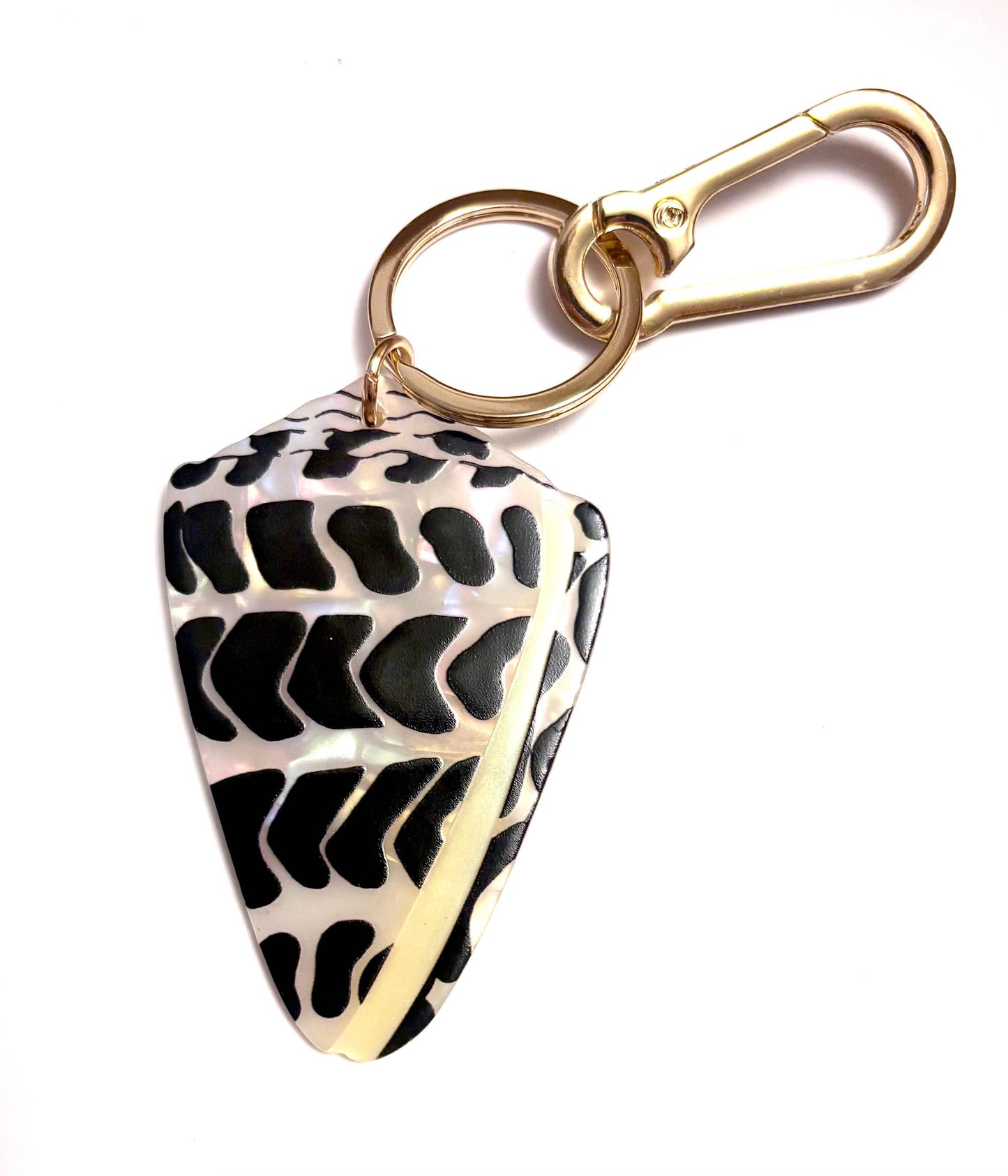 Hebrew Cone Shell Keychain