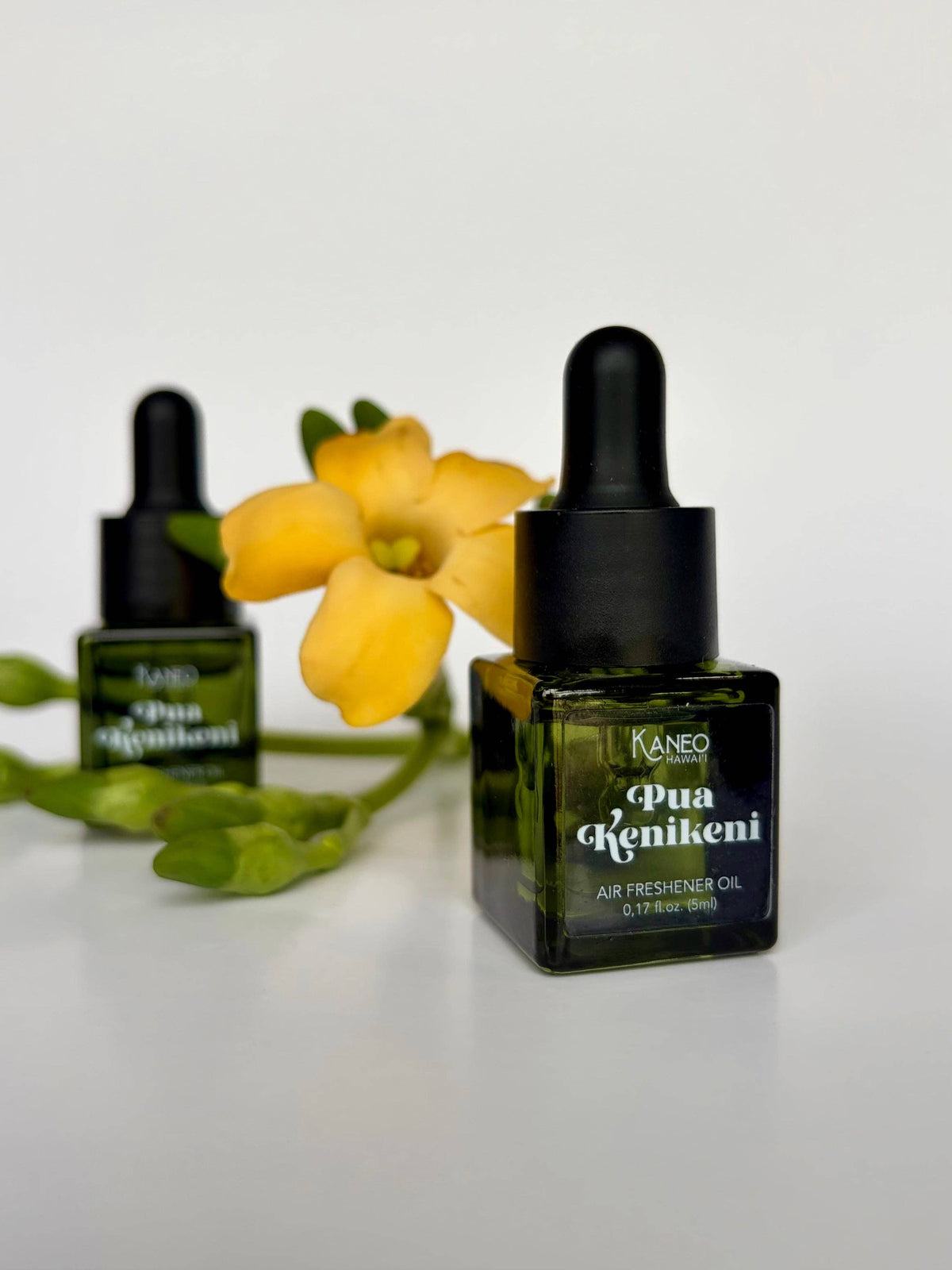 Fragrance Oils