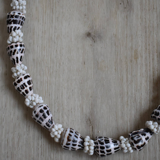 Hebrew Cone Shell Lei