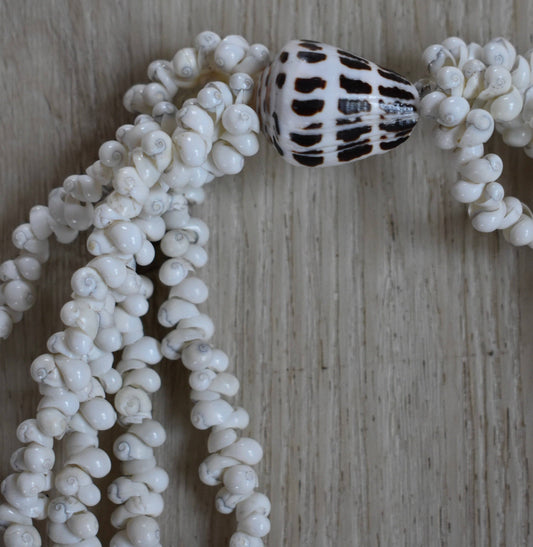 Single Hebrew Shell Five Strand Lei