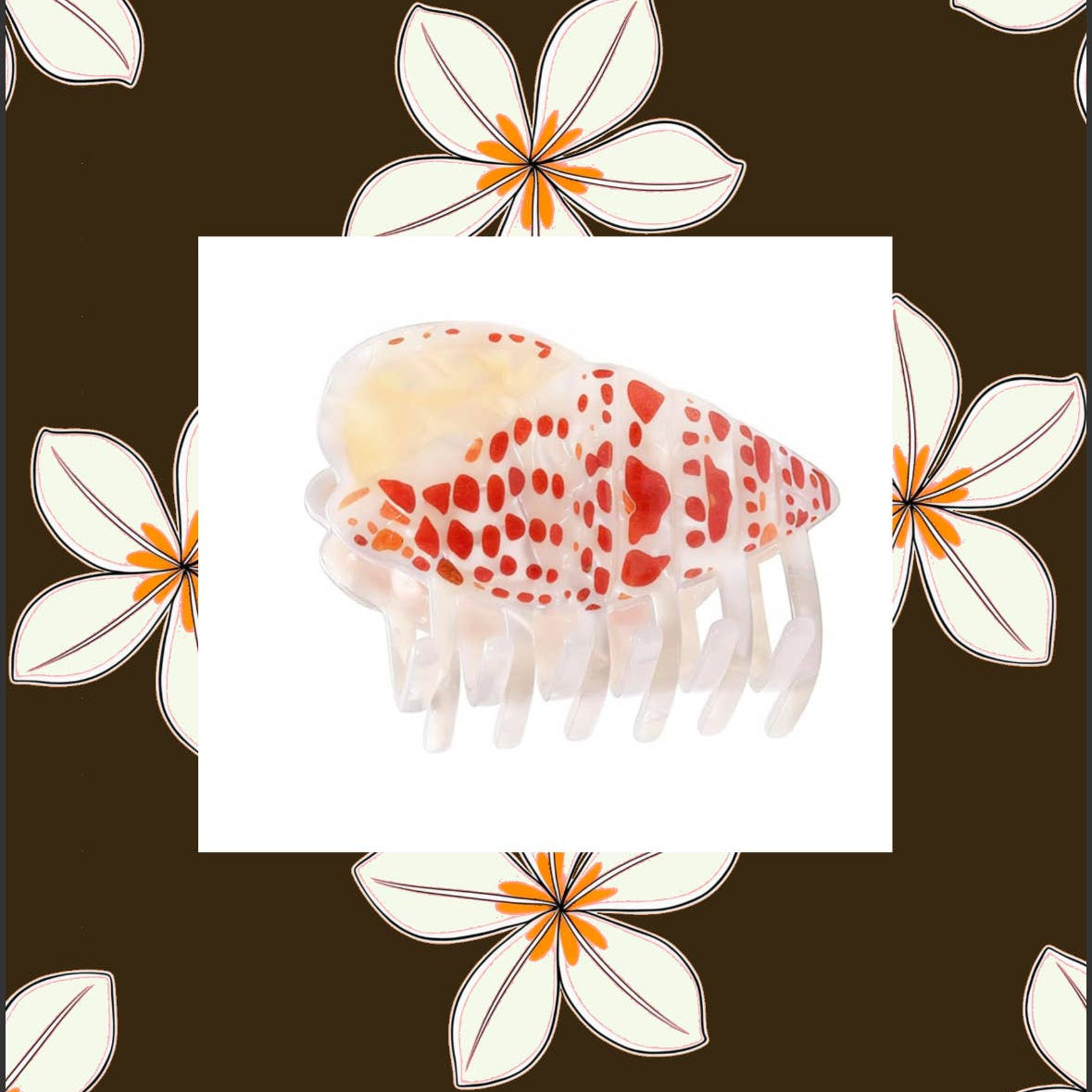 Miter Shell Claw Clip