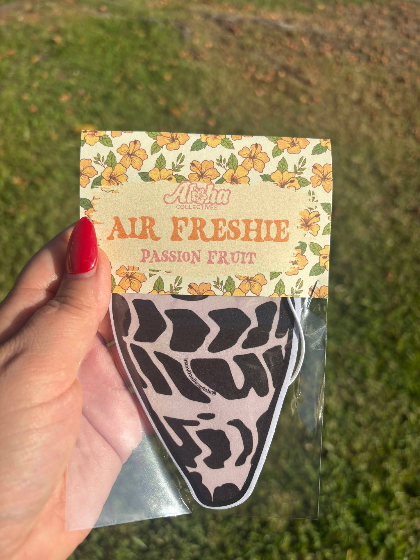 Hebrew Cone Shell, Air Freshener