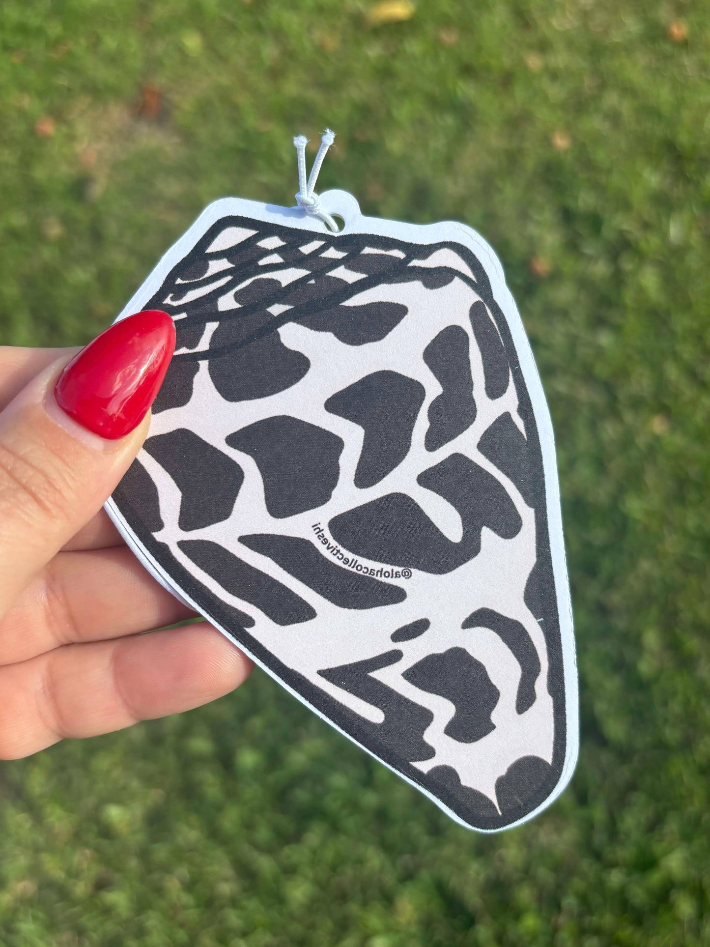 Hebrew Cone Shell, Air Freshener
