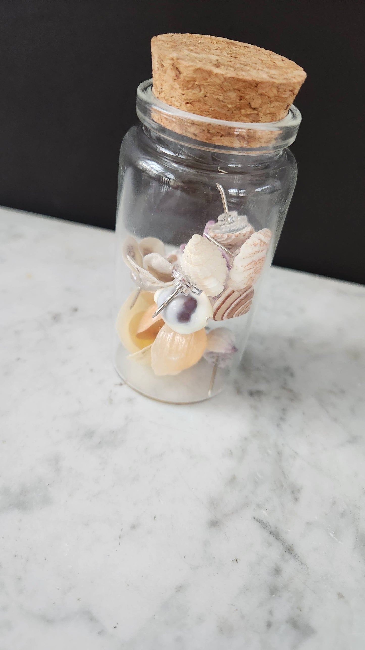 Seashell Thumbtacks