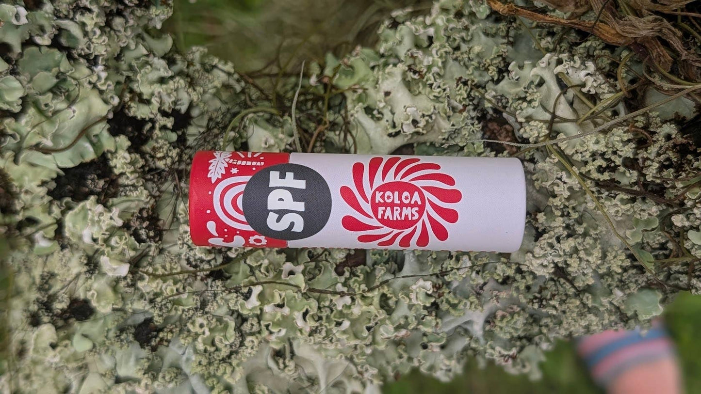 Mango Lip Balm