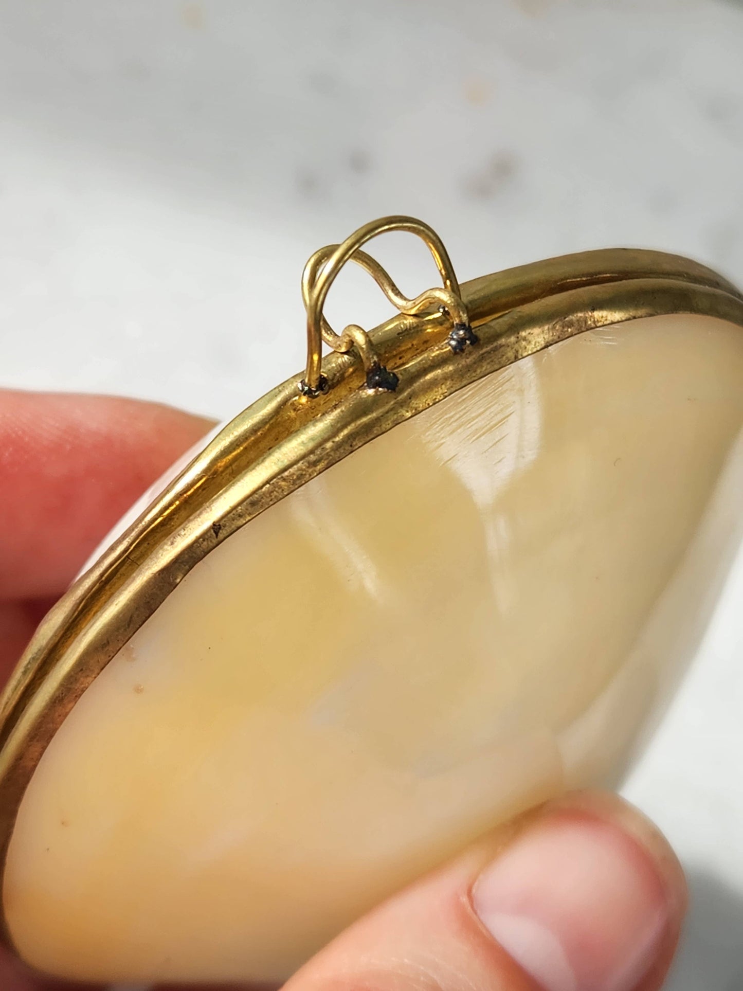 Mini Clam Trinket Coin Purse