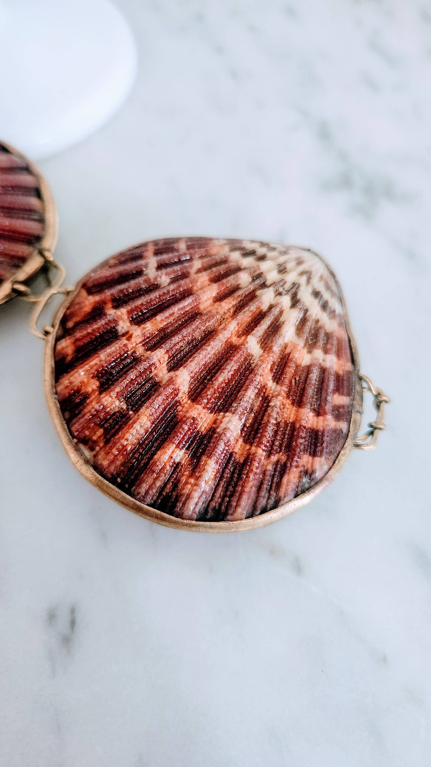 Pink Pectin Scallop Trinket Pill Box