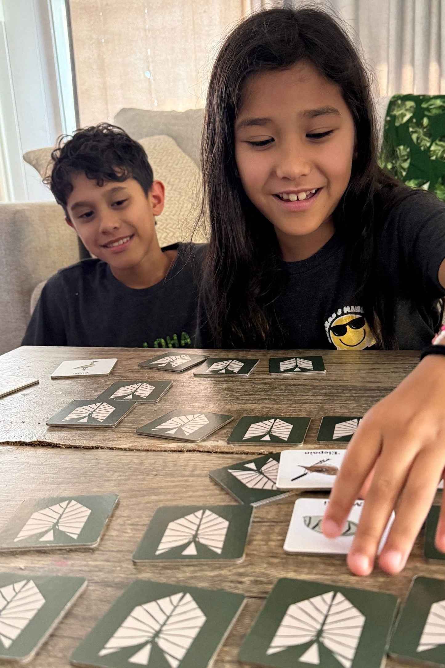 The Memory Game: Aloha ʻĀina