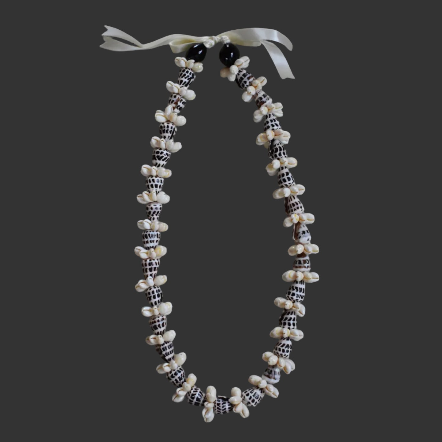 Hebrew Cone Shell + Cowrie Shell Lei