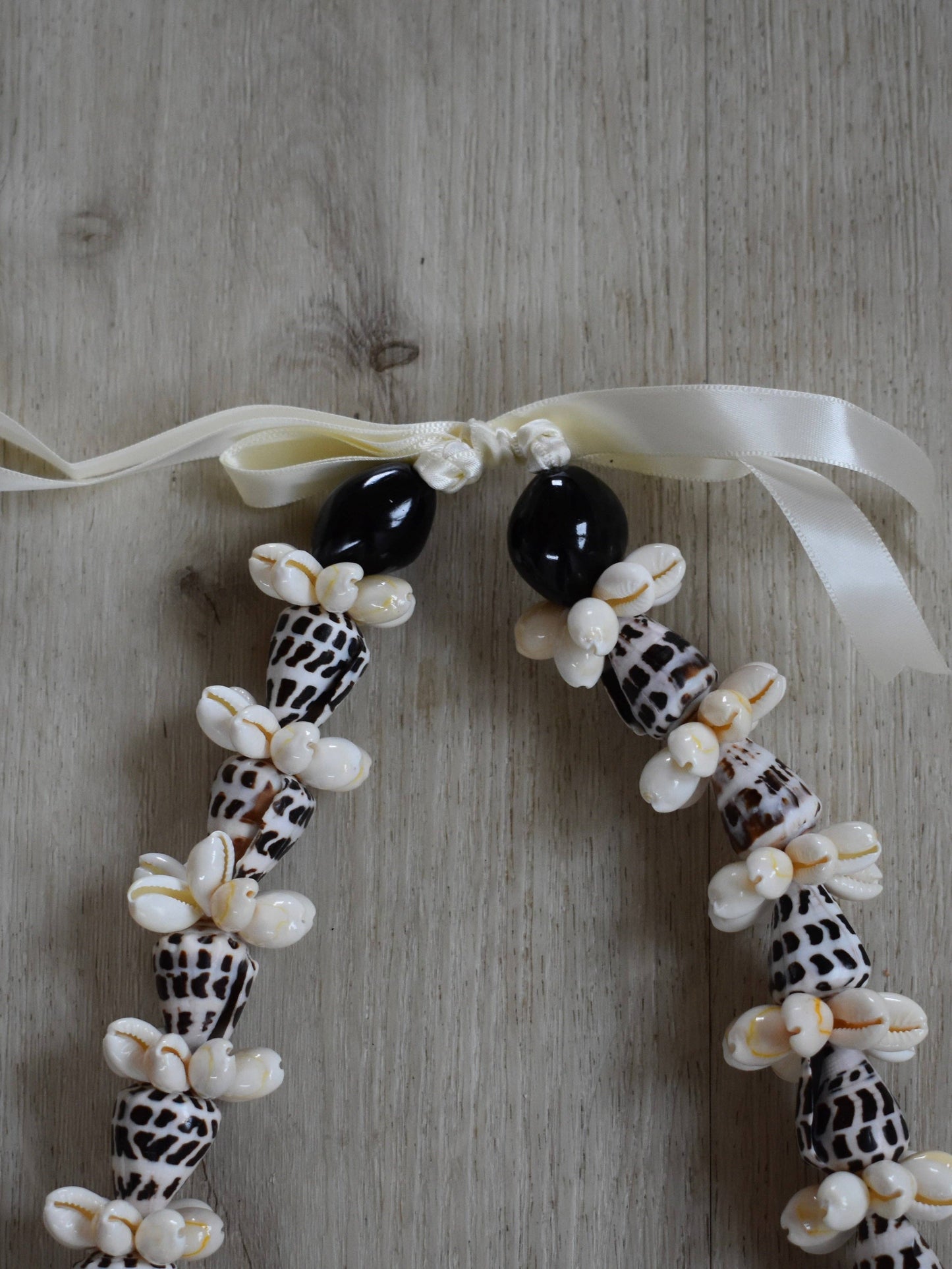 Hebrew Cone Shell + Cowrie Shell Lei