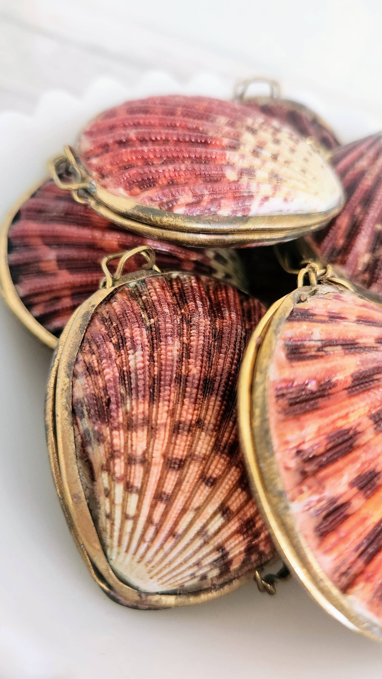 Pink Pectin Scallop Trinket Pill Box