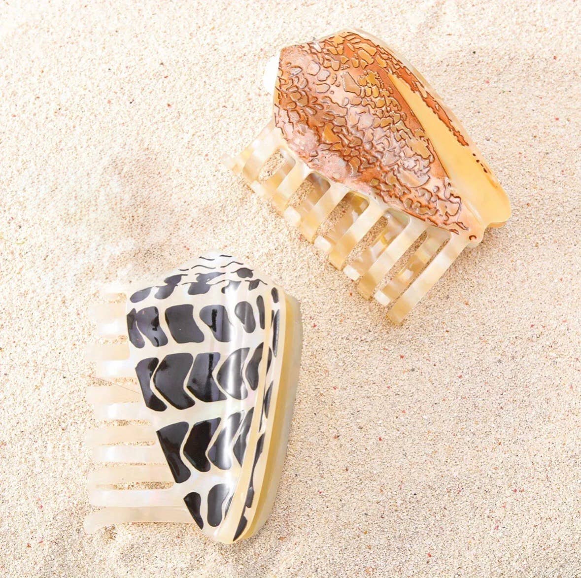 Hebrew Cone Shell Claw Clip