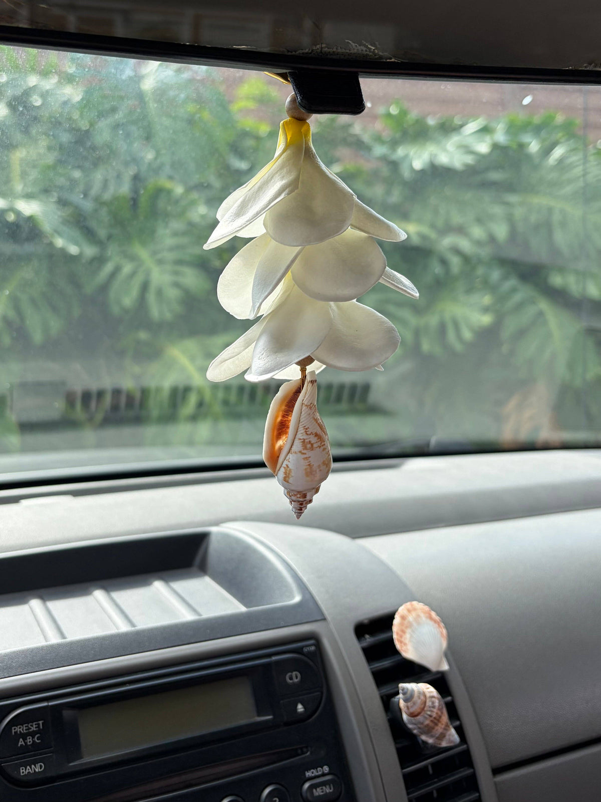 EKOLU - Plumeria and Shell